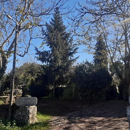 Pazo San Lorenzo- Puebla De Trives Esterno foto